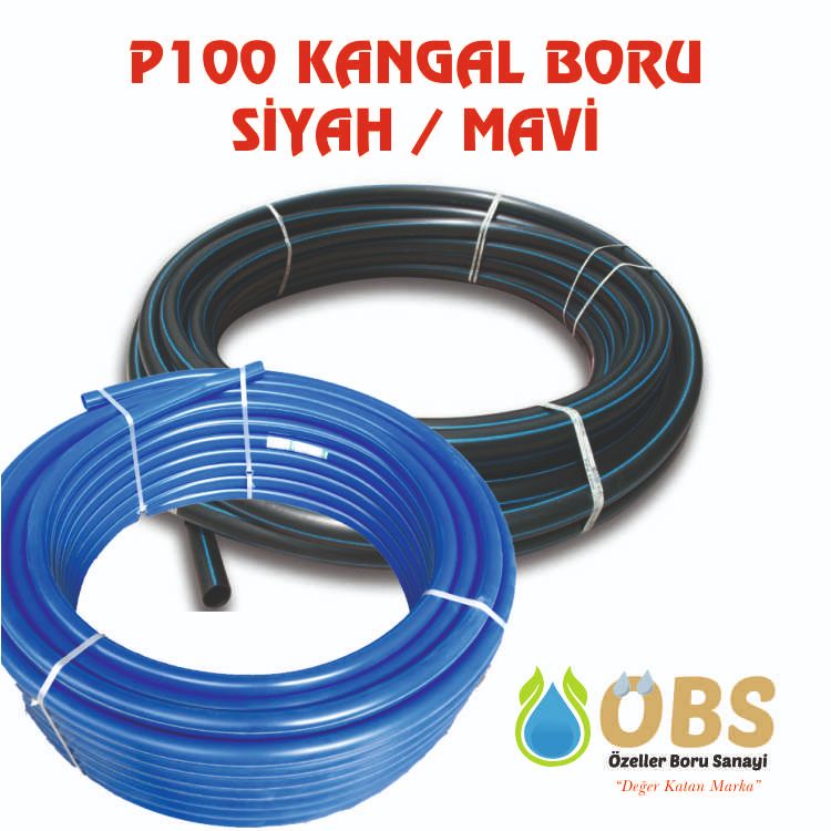 P100 KANGAL BORU