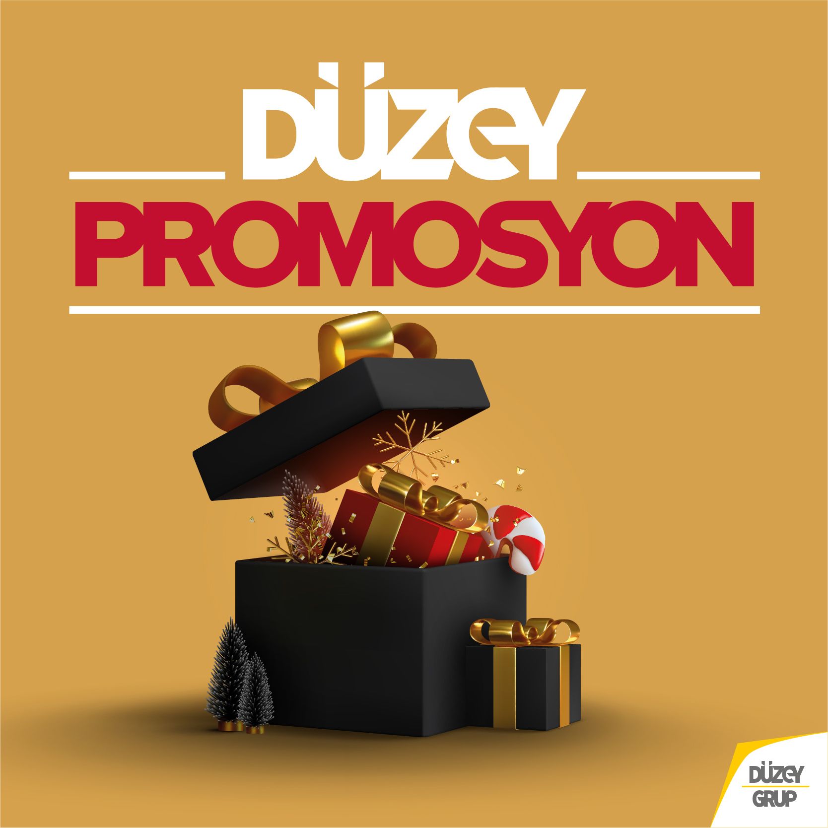 Düzey Promosyon